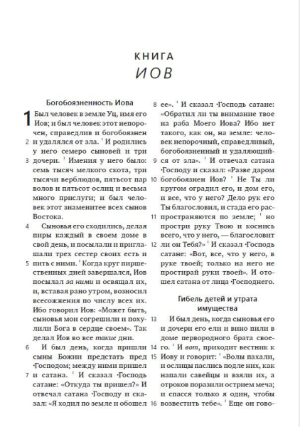 Bibel Synodal Version (einfarbig), Russisch